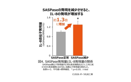 研究成果の図案