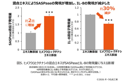 研究成果の図案
