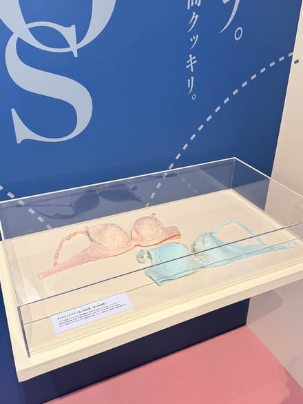 ワコール展示「Back to the Essence」の様子