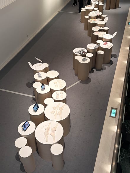 ワコール展示「Back to the Essence」の様子