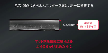 ケイト新作パウダーブラシ画像
