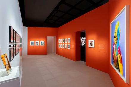 展示風景
