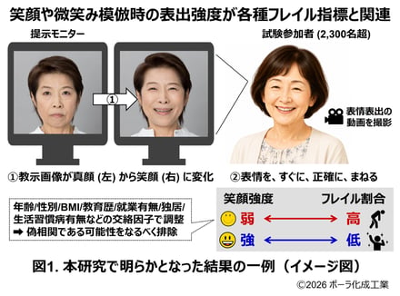 研究結果を説明する図