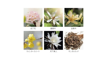 コスメデコルテ新作クリーム香り画像