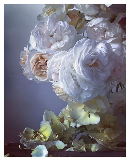 写真作品