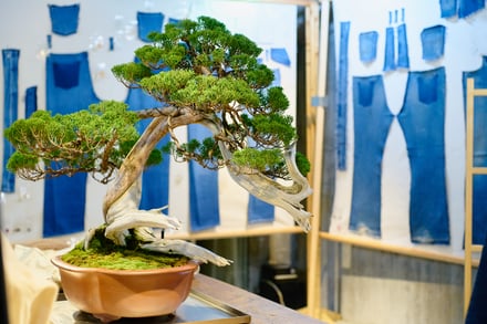 展示風景