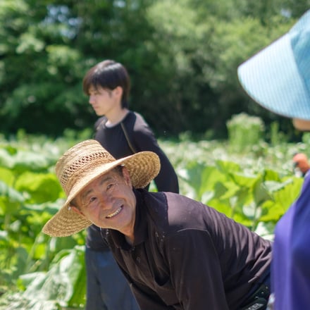 ラワンぶきが広がる景色