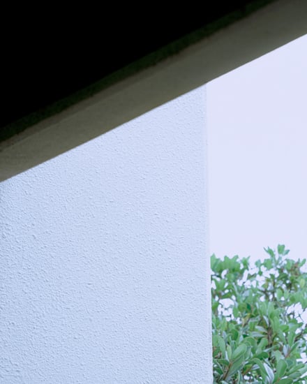 自然