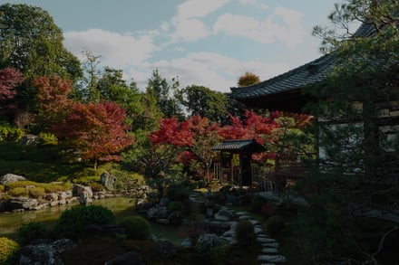 両⾜院