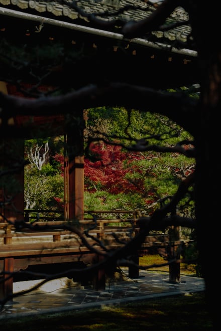 両⾜院