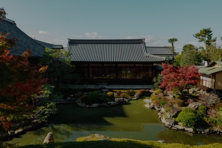 両⾜院