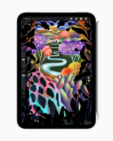 iPad