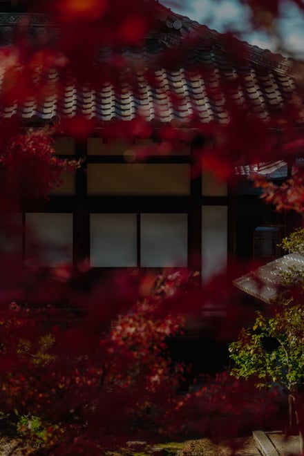 両⾜院