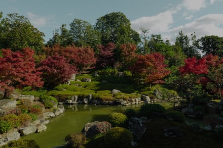 両⾜院