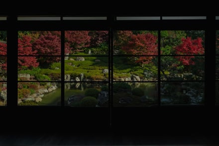 両⾜院