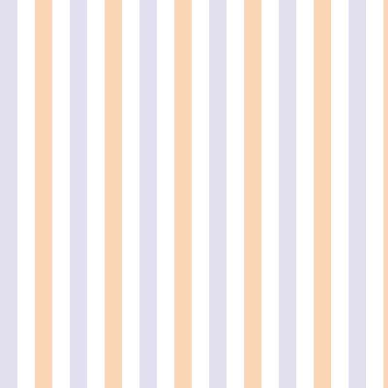 オルタネイトストライプ(alternate stripe)のイラスト