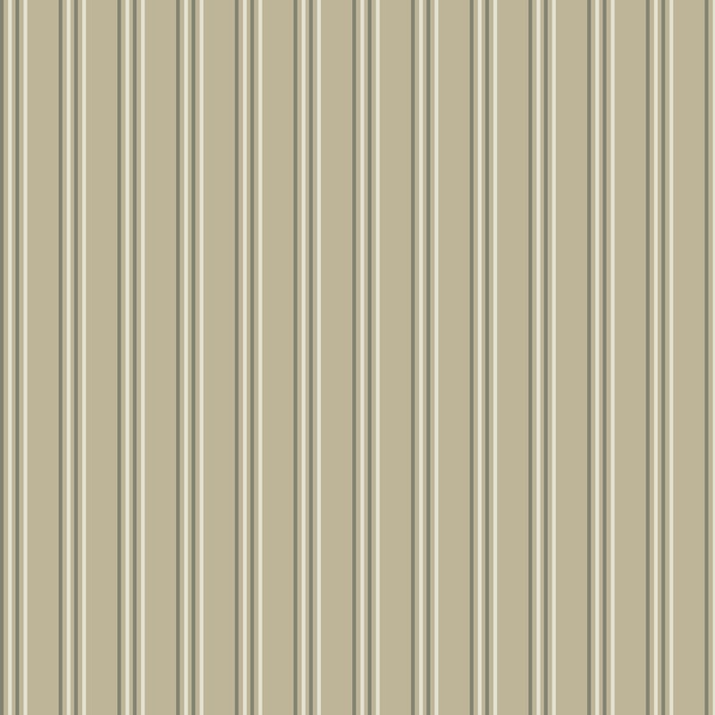 クラスターストライプ(cluster stripe,group stripe)のイラスト