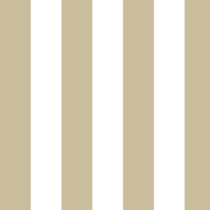 ボールドストライプ(bold stripe)のイラスト