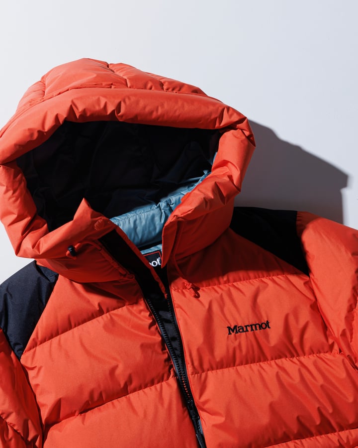 Marmot