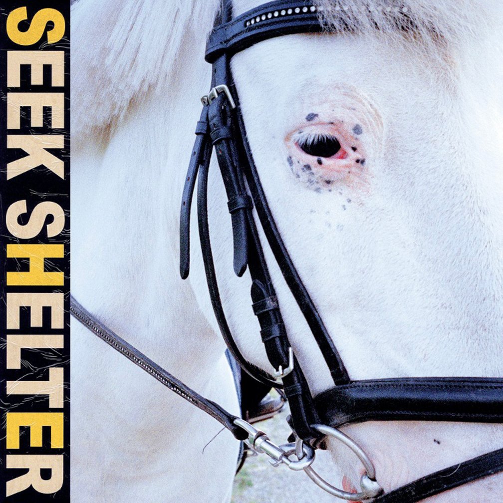 アイスエイジ SEEK SHELTER