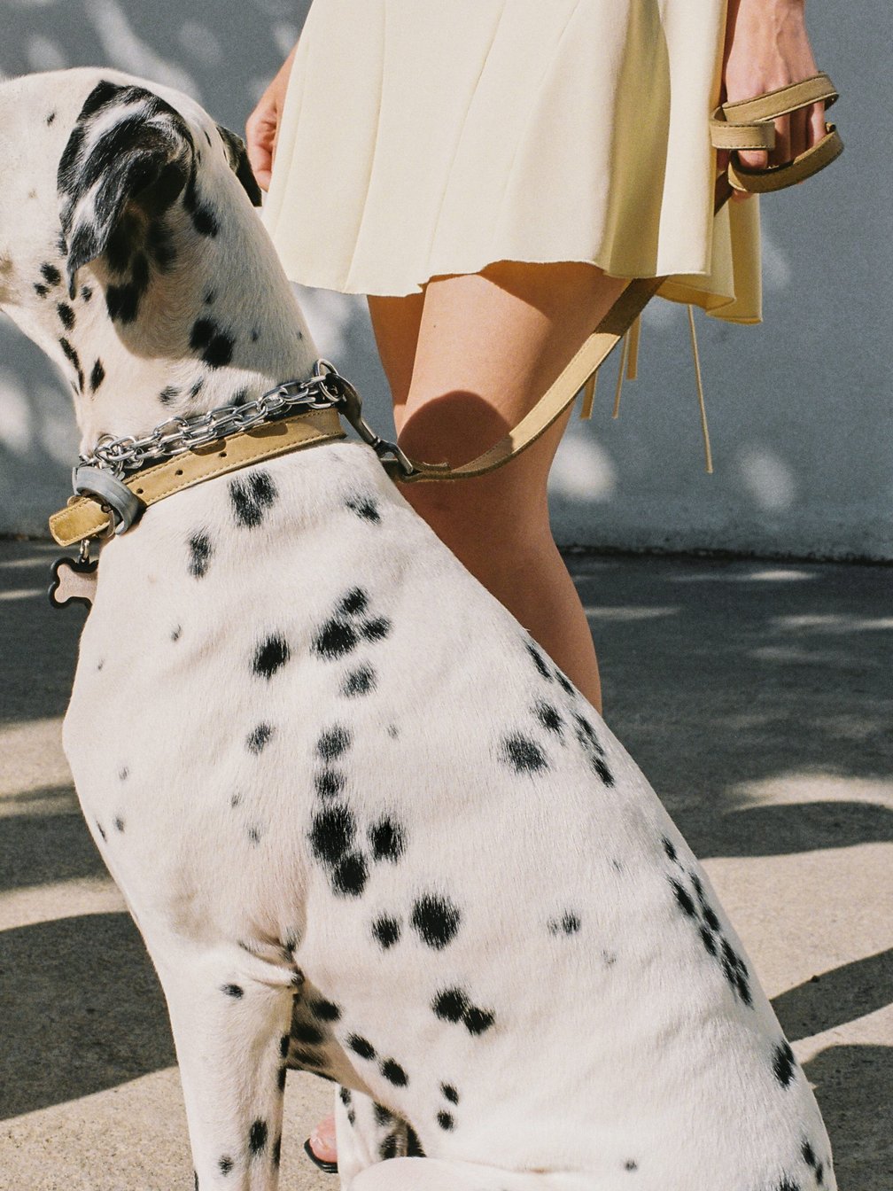 Marina Domenechの写真
