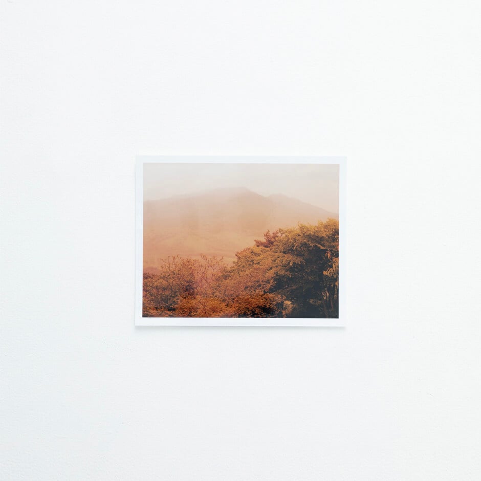 写真集 Yuka & The Forest