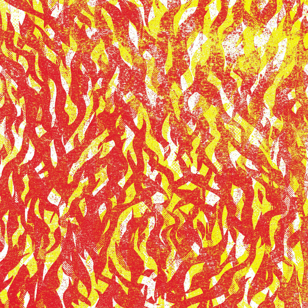 ザ・バグ Fire