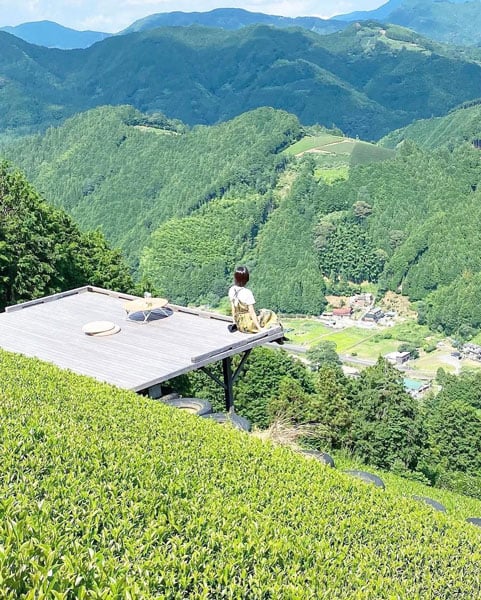 天空の茶の間