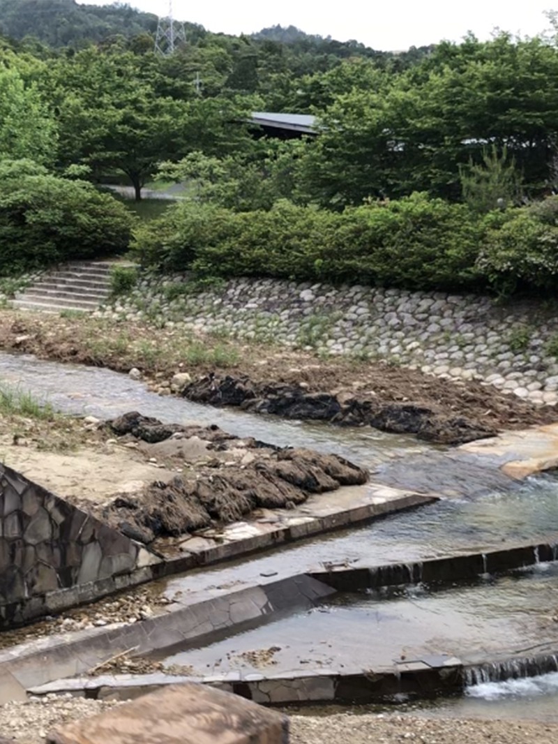 osumi waterblure ウォーターブルー 田舎 次世代 ファッションデザイナー
