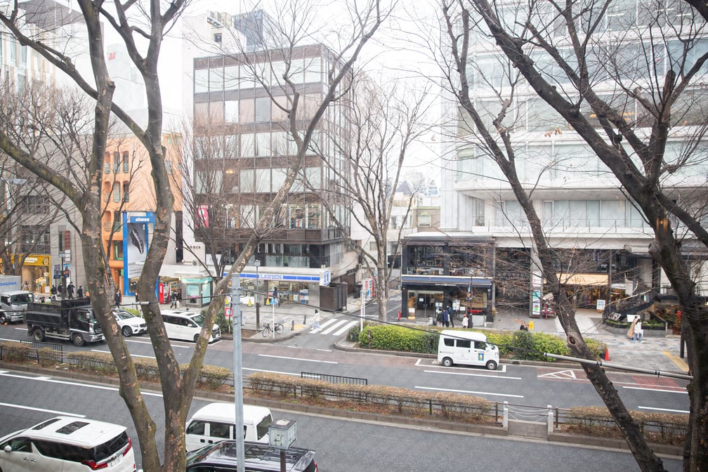 表参道の並木が臨めるテラス席からの景色