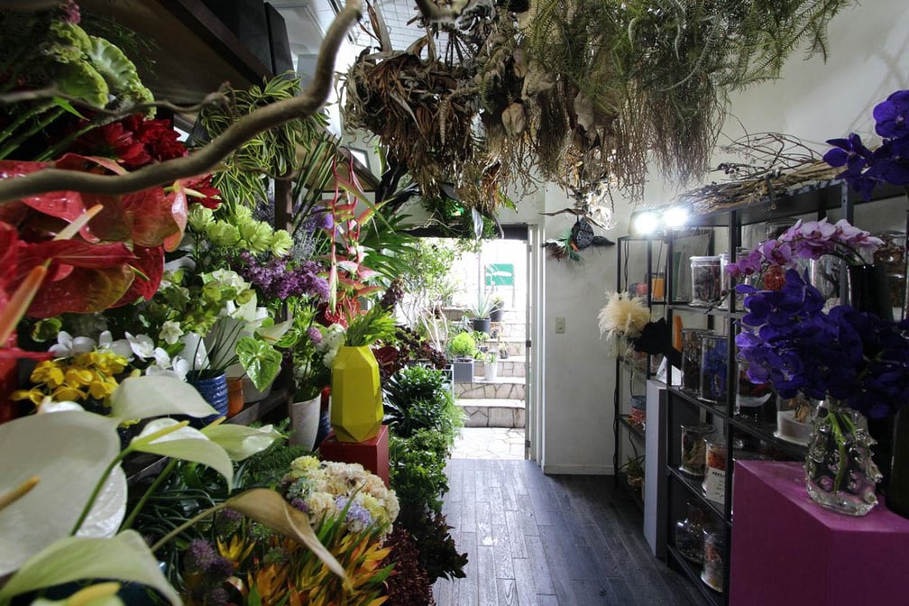 logi plants & flowers