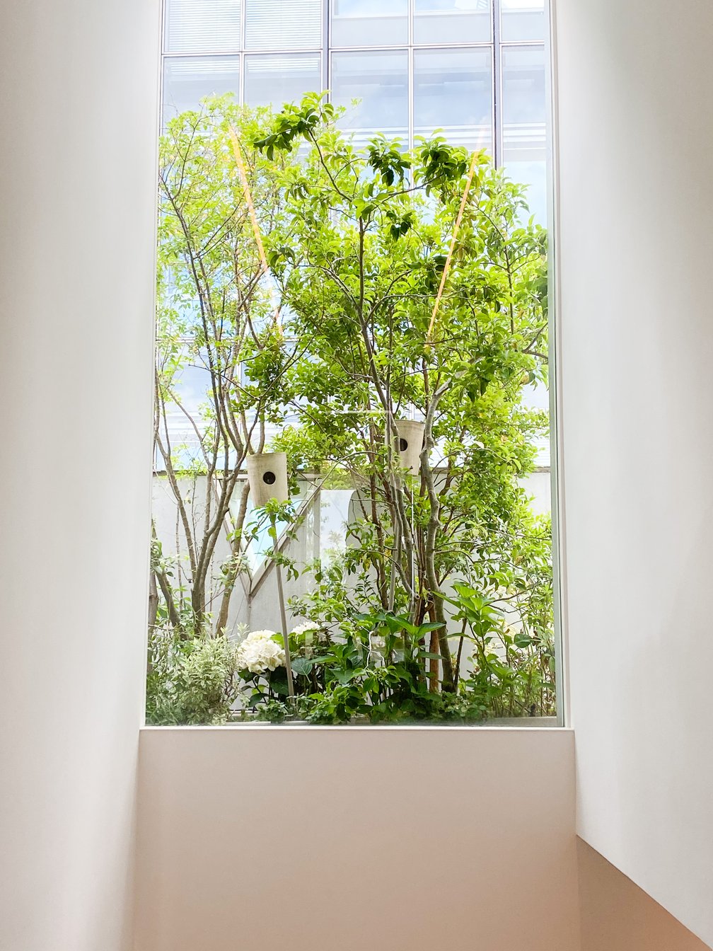 木にぶら下がる小屋