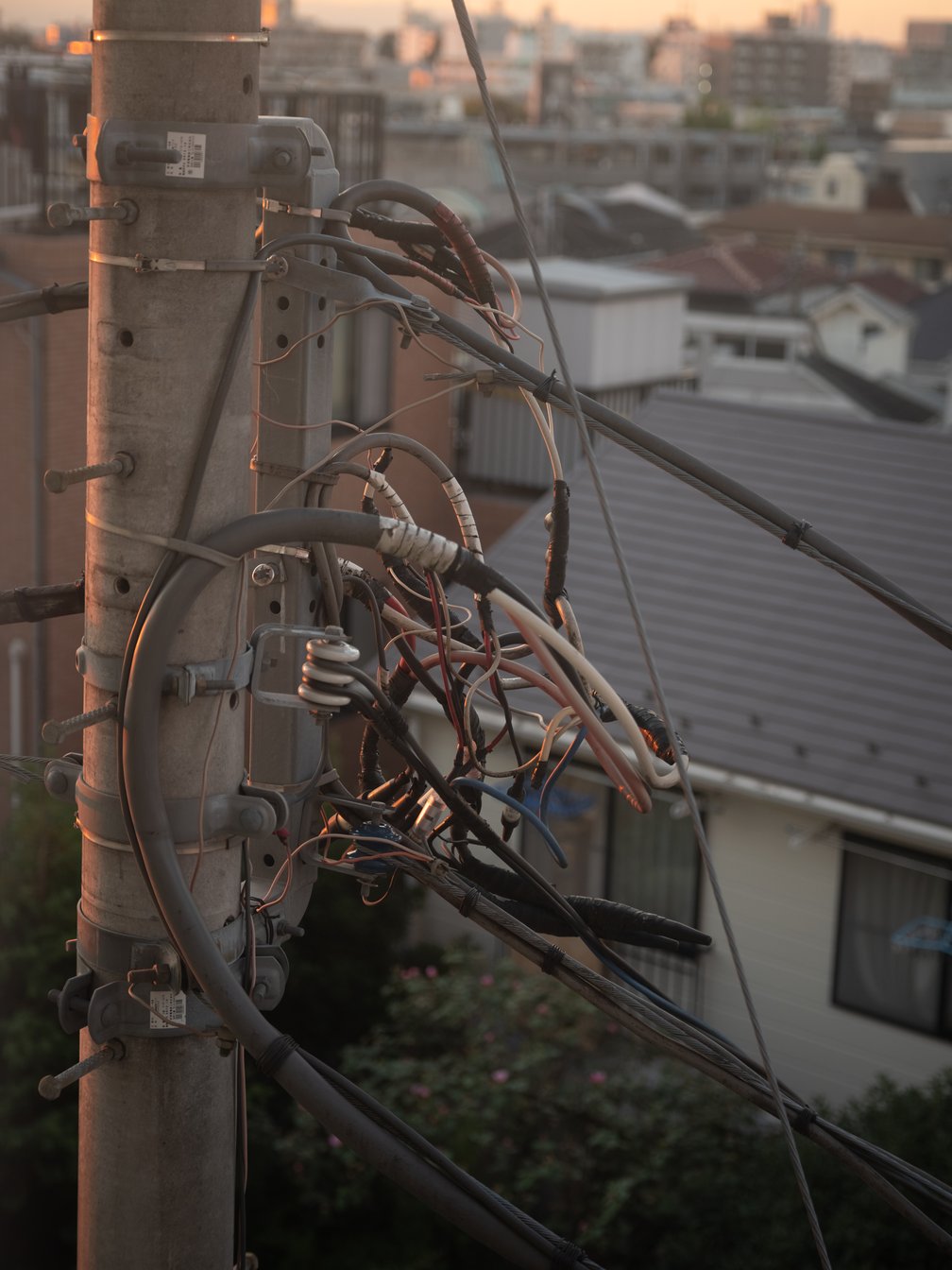 電柱と電線