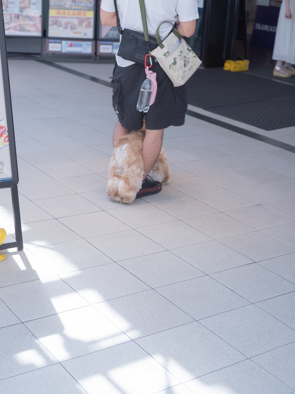 両足で犬を挟む人