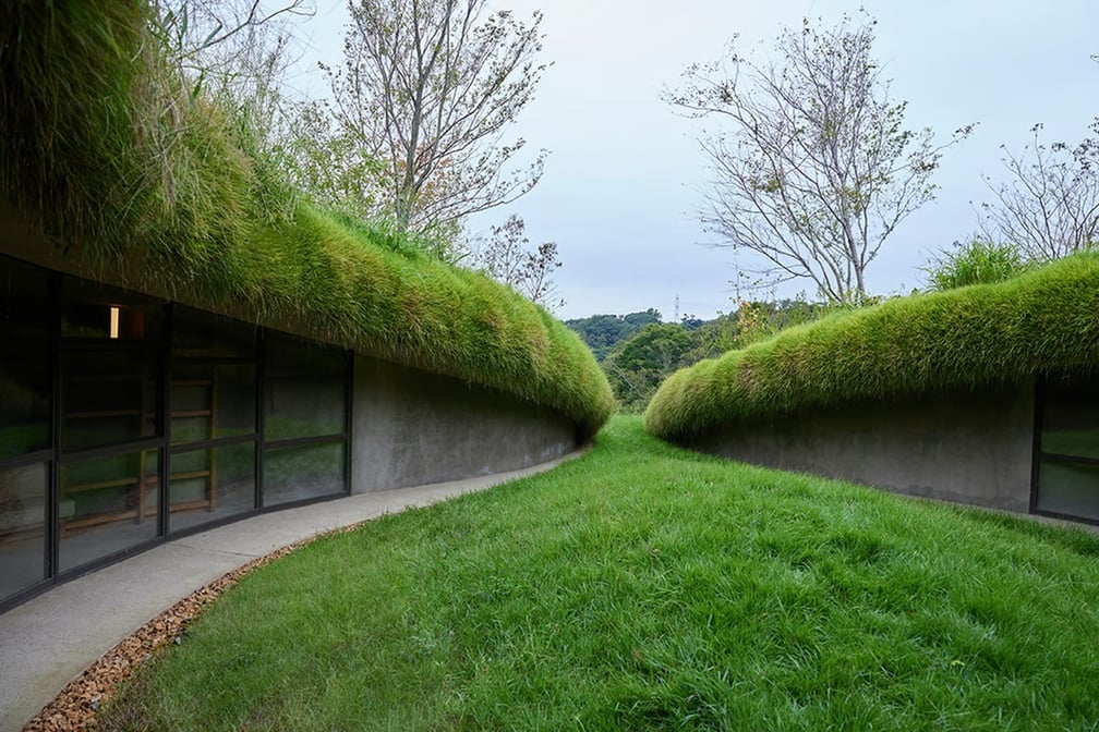 緑に覆われた建物