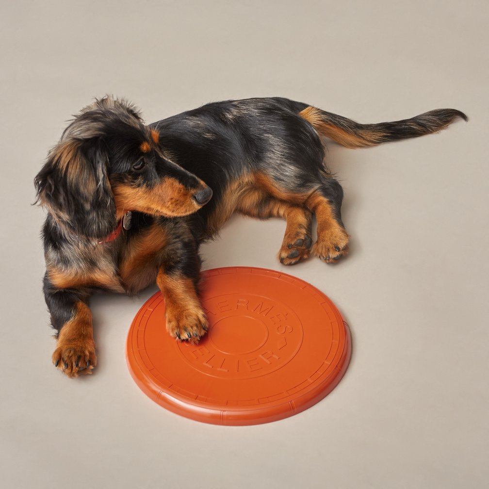 犬用フリスビー「ウフ」(Φ23cm)3万3000円