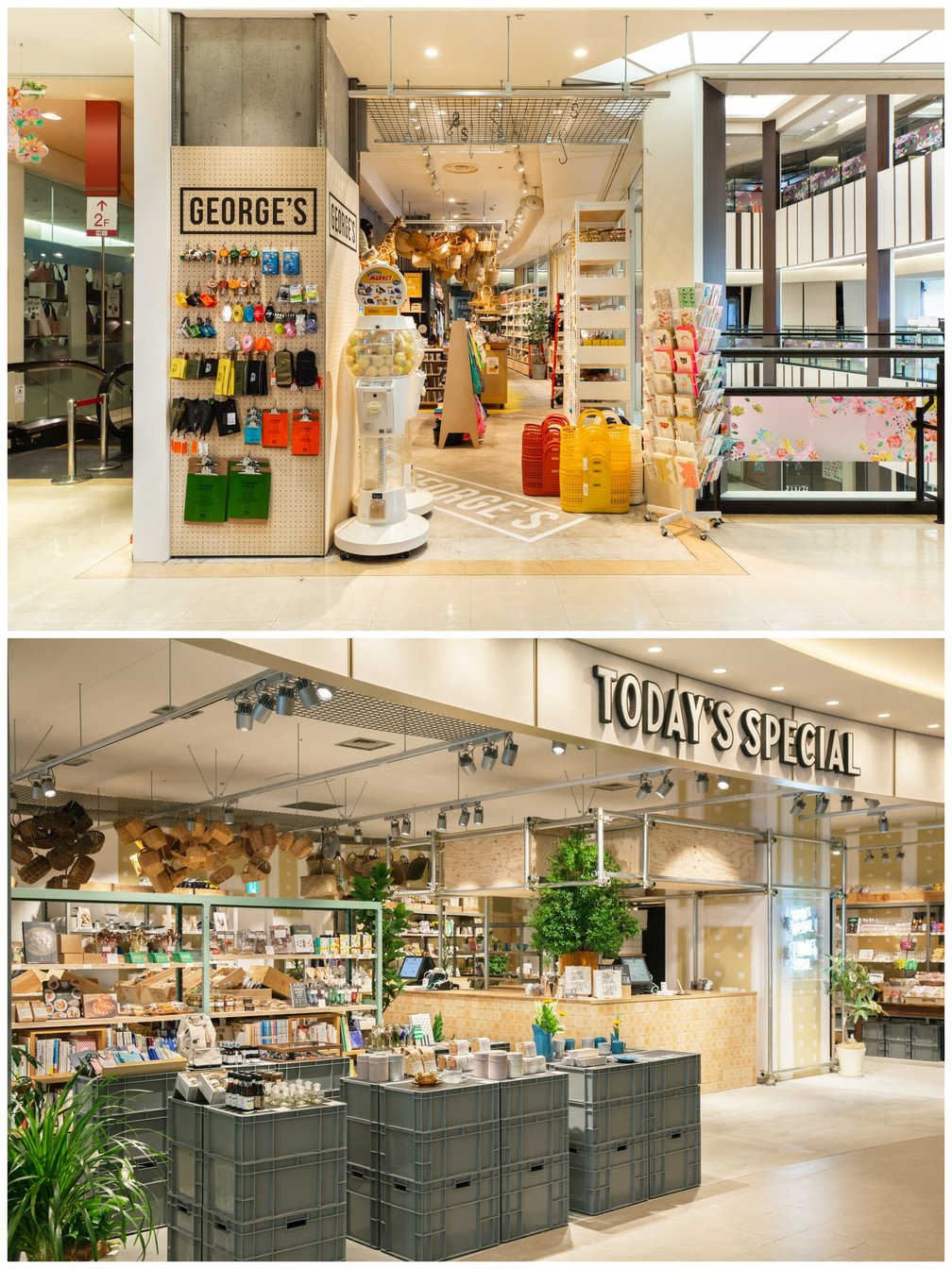 店舗画像(上からジョージズ、トゥデイズスペシャル)
