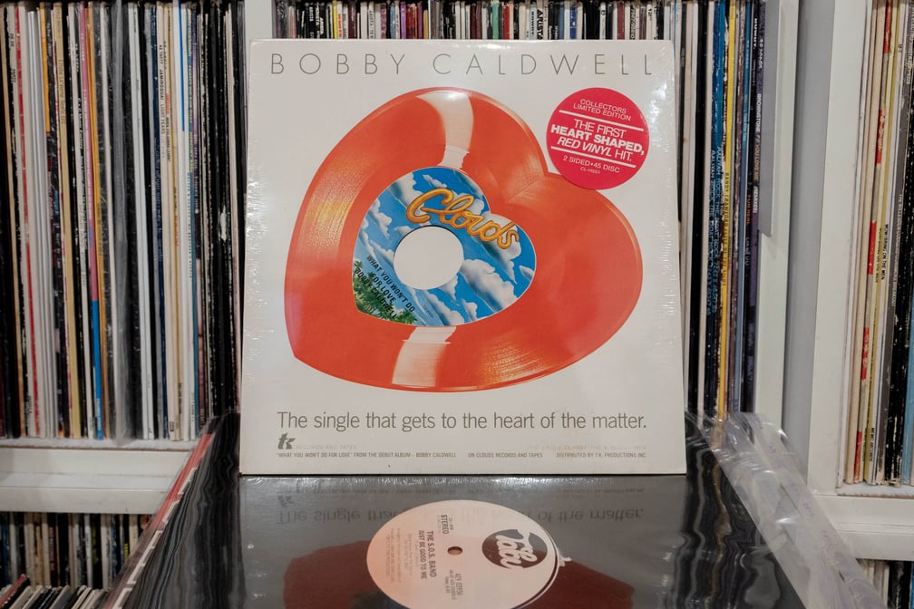 「WHAT YOU WON'T DO FOR LOVE」のジャケット画像