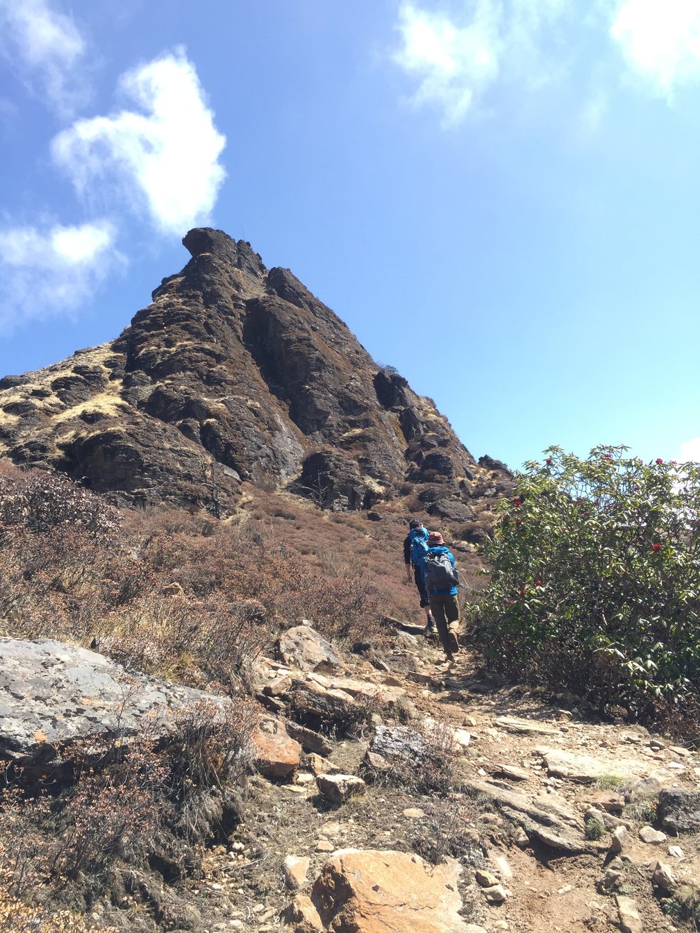 ブータン　山