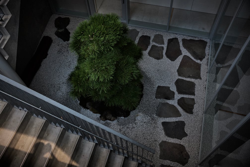 庭の画像