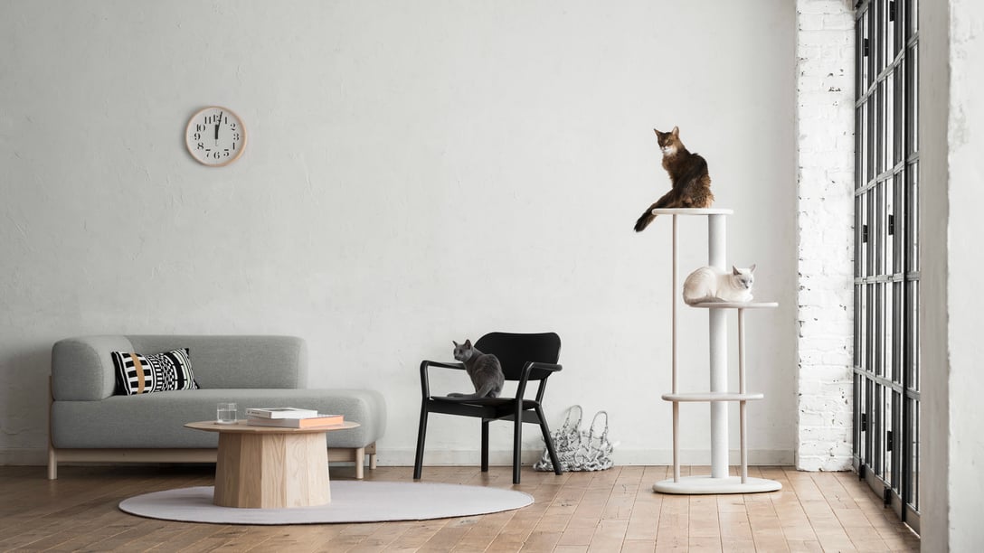 商品イメージ Image by KARIMOKU CAT