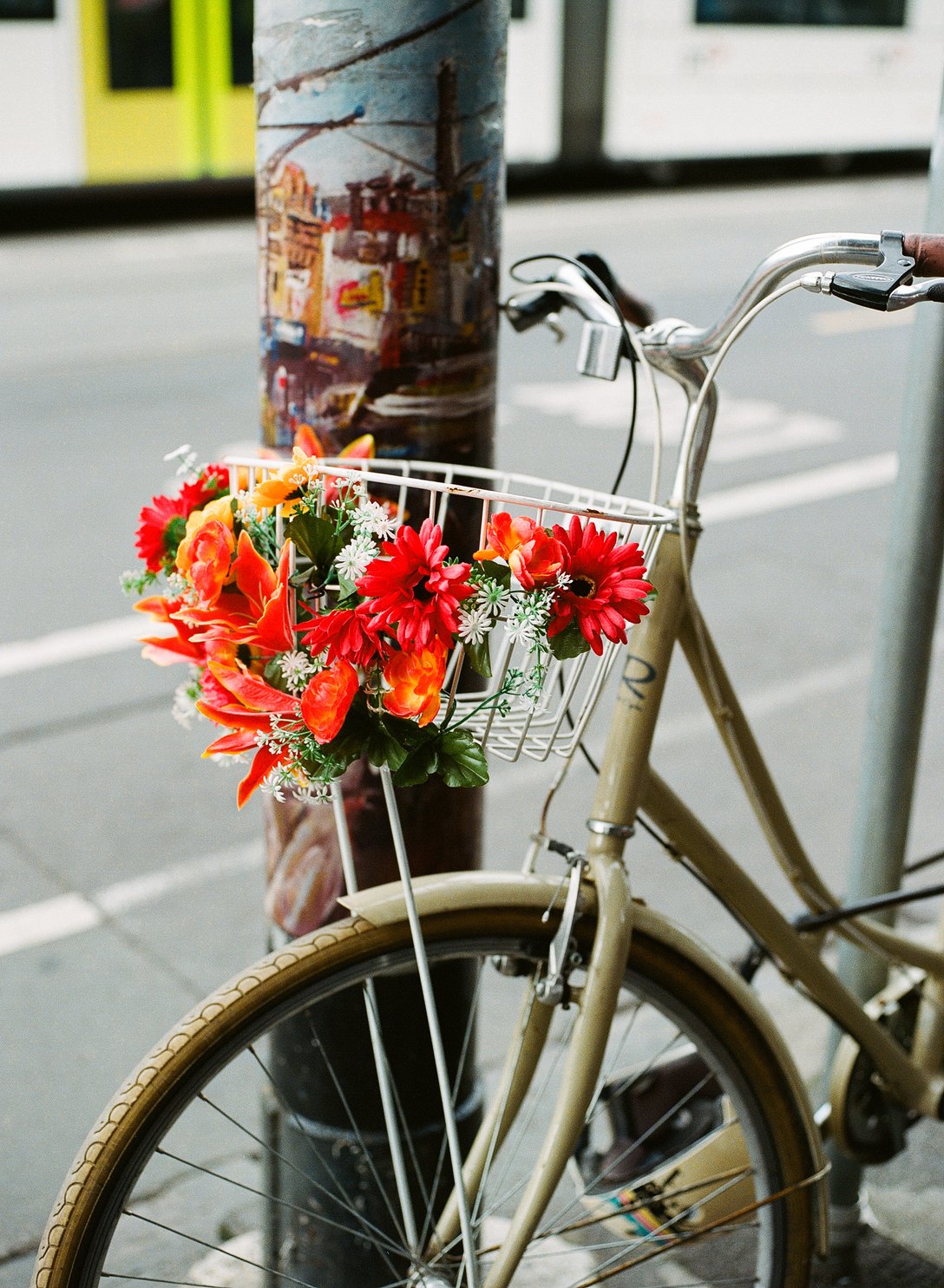 Image by ©Miyu TAKAKI