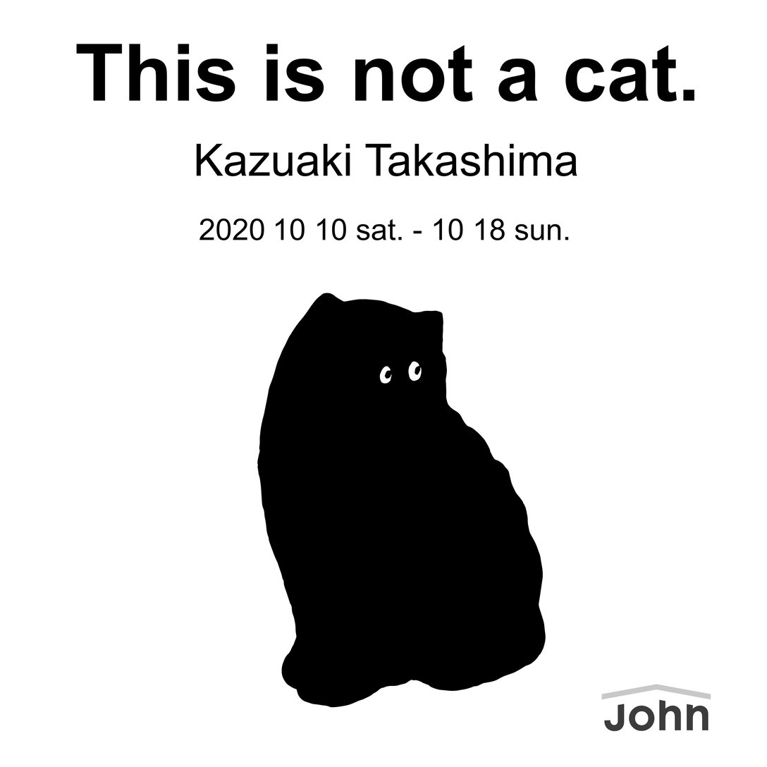 Image by This is not a cat.