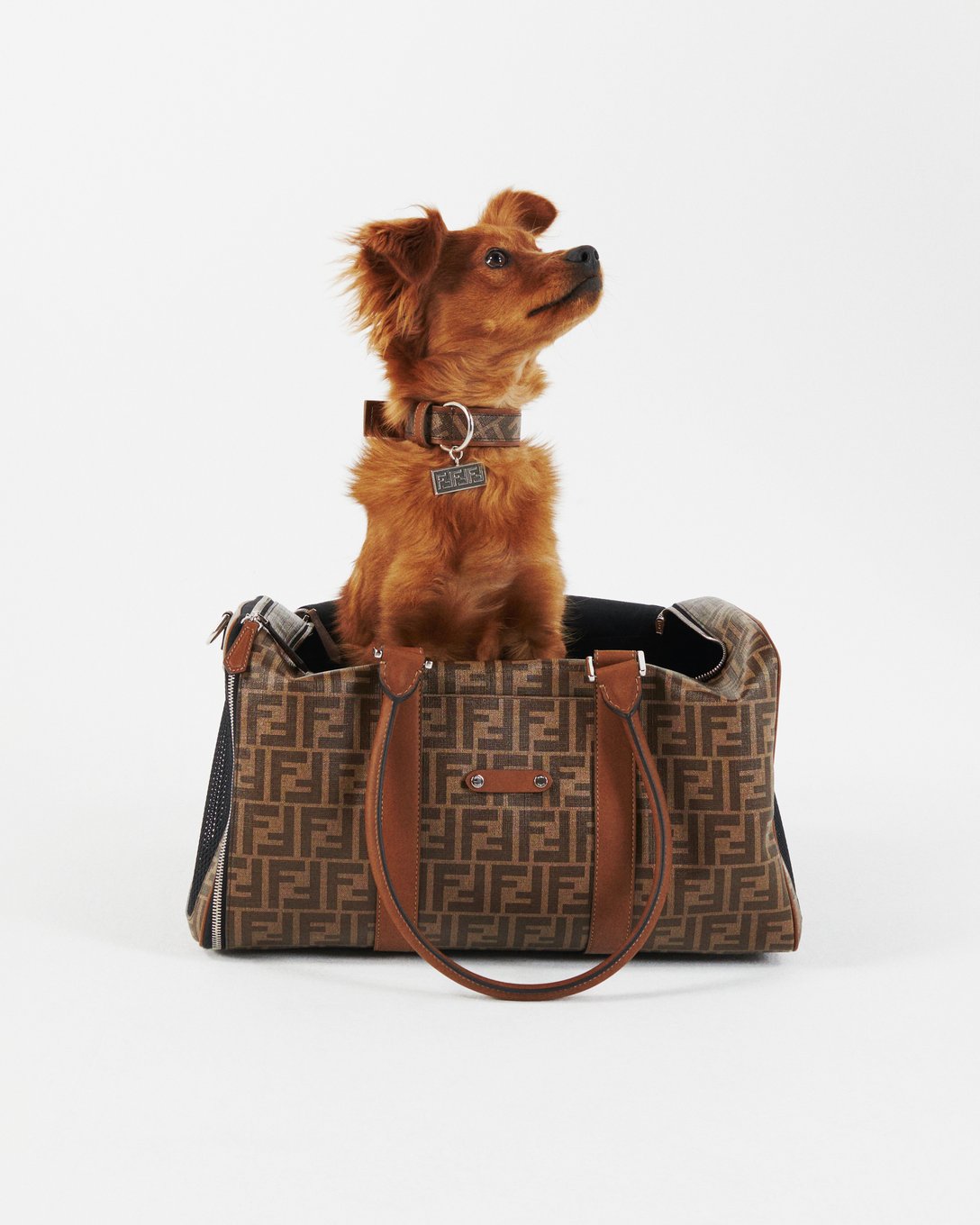 FENDI Pet Travel Line Image by FENDI