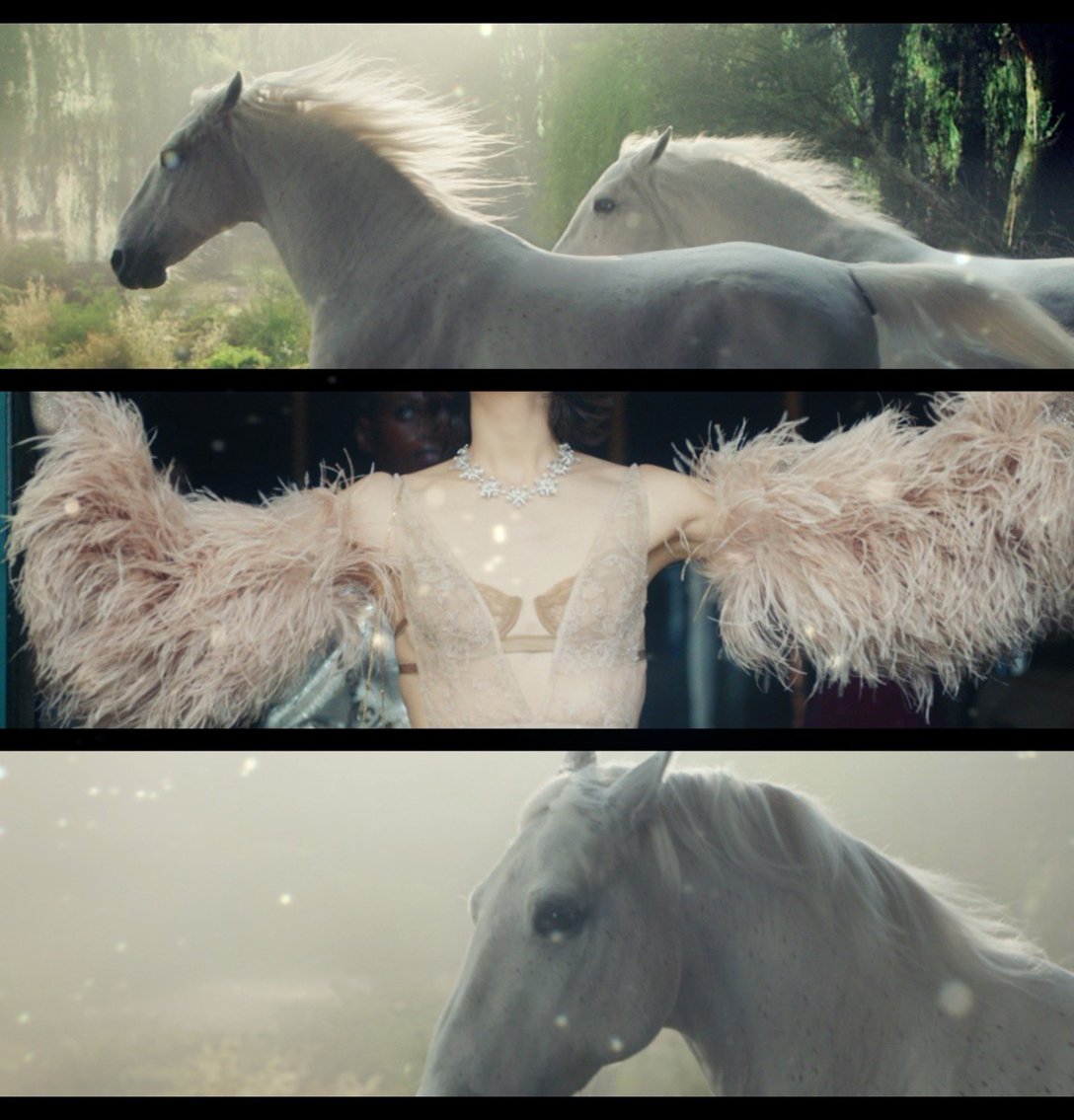 Image by GUCCI