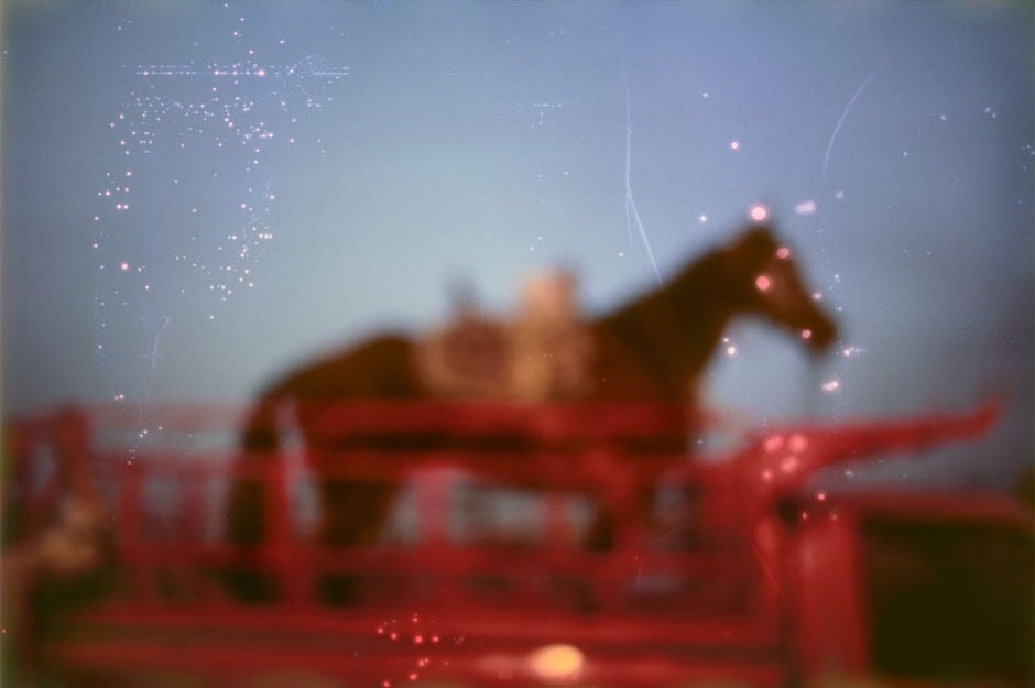 Nan Goldin, My horse, Roma, Valley of the Queens, Luxor, Egypt, 2003, Dye sublimation prints on aluminum, 20 x 30 in. (50.8 x 76.2 cm)(24973)