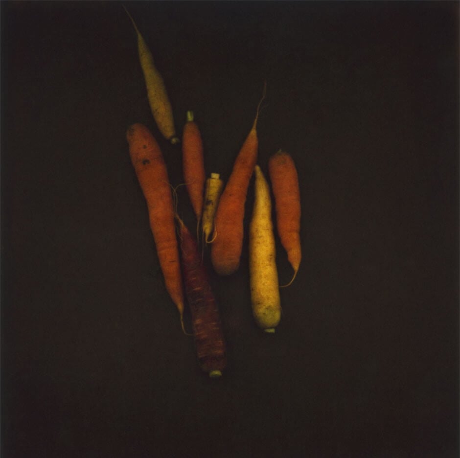 トーマ・デレーム《Légumineux, daucus carota - different carrots》2009年