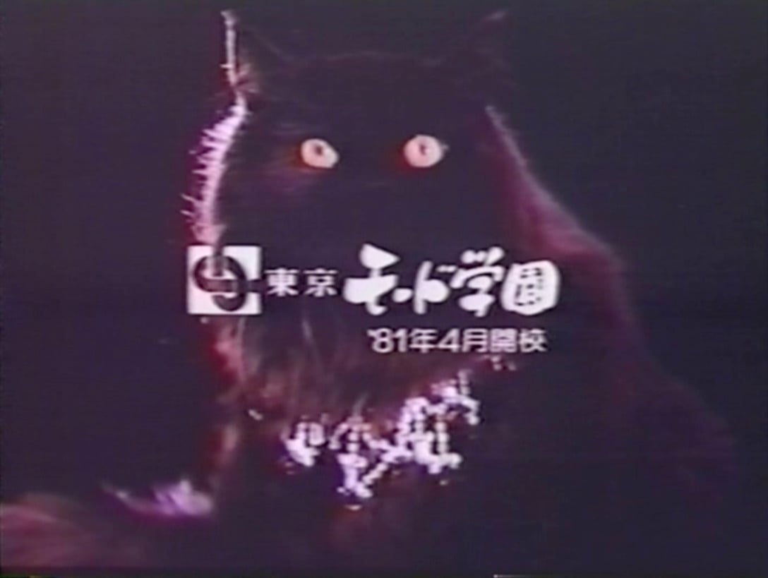 東京モード学園 1980年放映TVCM「豚に真珠は、似合うのだ」篇