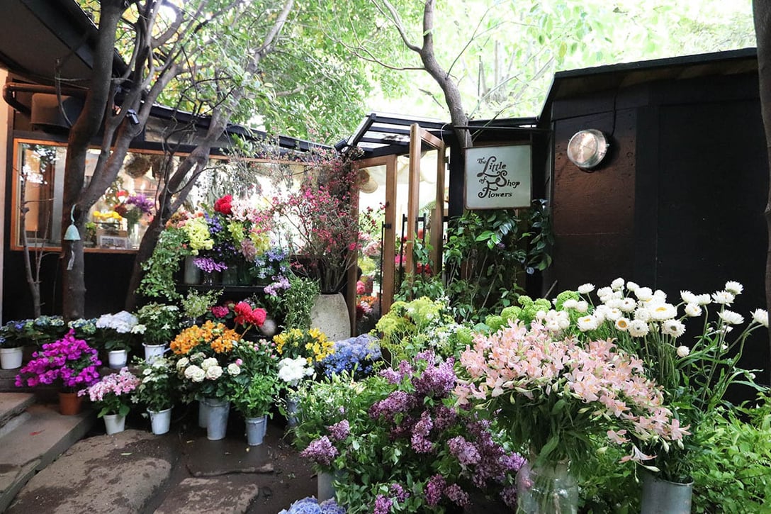 THE LITTLE SHOP OF FLOWERS