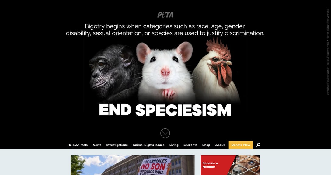 PETAの公式サイトより